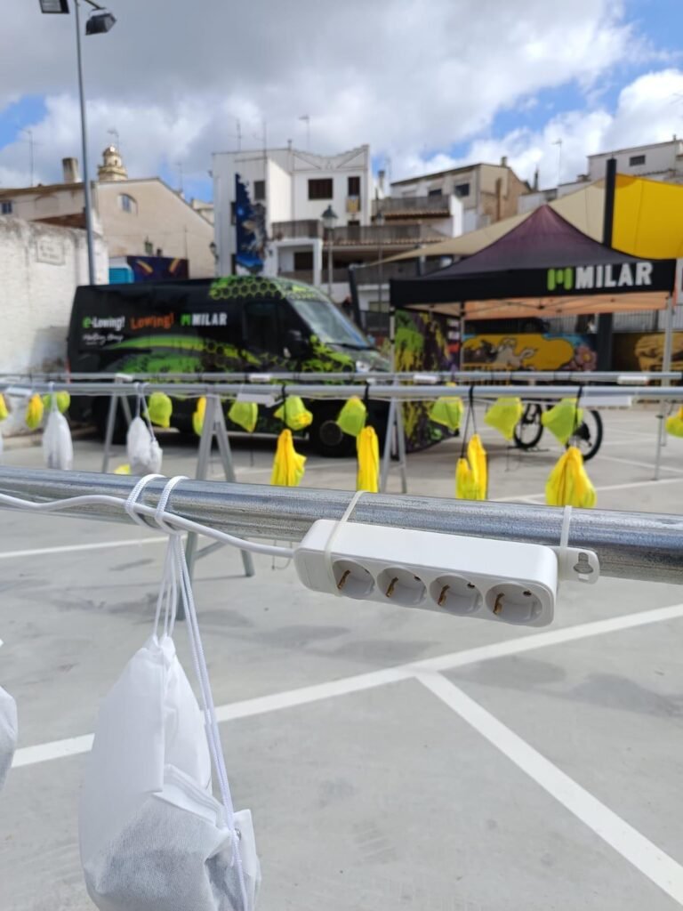 WhatsApp Image 2026-01-13 at 16.19.21 (1)