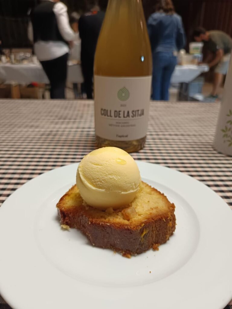 WhatsApp Image 2026-01-13 at 16.19.21